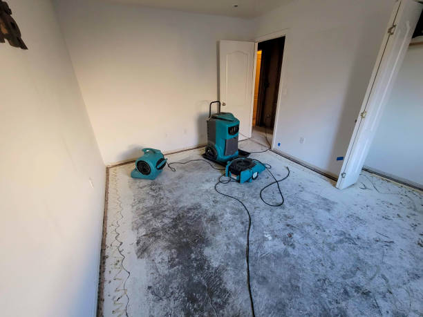 Best Ceiling water damage repair  in Alice, TX