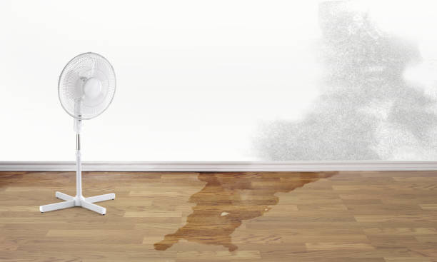 Trusted Alice, TX Water damage restoration Experts