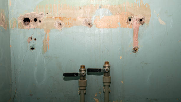 Best Professional water damage repair  in Alice, TX