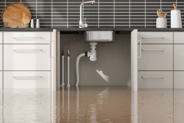 Best Flood damage cleanup  in Alice, TX