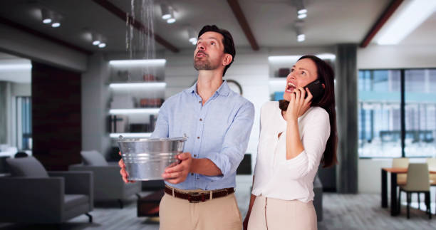 Best Carpet water damage restoration  in Alice, TX